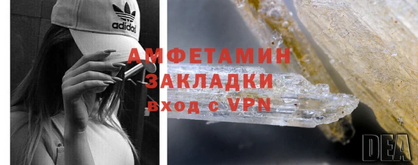ГАЛЛЮЦИНОГЕННЫЕ ГРИБЫ Козловка