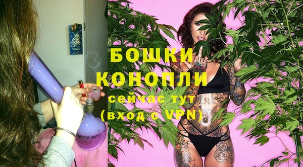 ГАЛЛЮЦИНОГЕННЫЕ ГРИБЫ Козловка